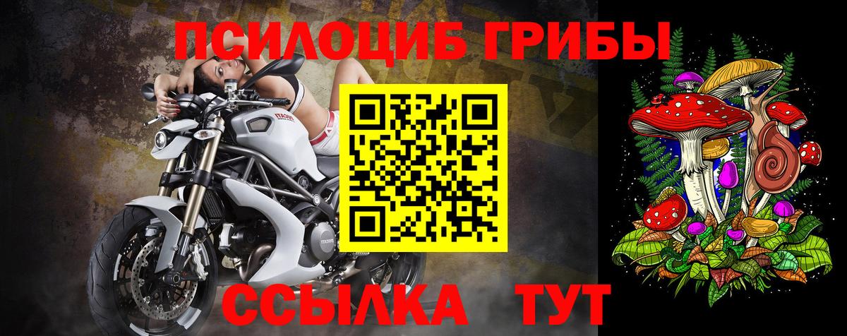 Лабытнанги  Псилоцибиновые грибы прущие грибы  Вход с VPN 